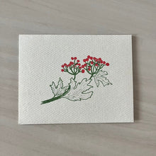 Load image into Gallery viewer, High-bush Cranberry (by Woodland Spirit)