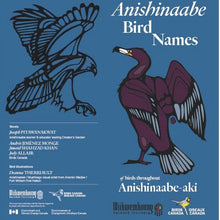Load image into Gallery viewer, Anishinaabe Bird Names Pamphlet (UV coated)
