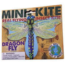 Load image into Gallery viewer, Mini Insect Kite