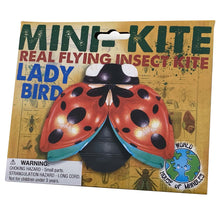 Load image into Gallery viewer, Mini Insect Kite