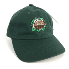 Load image into Gallery viewer, Green Chestnut Canoe Company Ball Cap