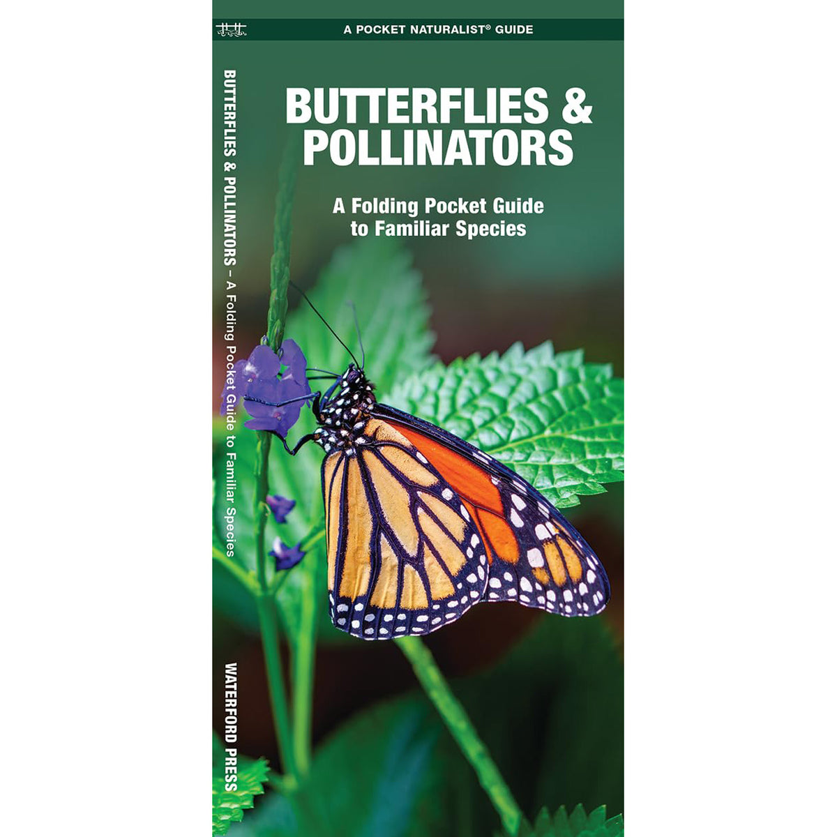 Butterflies & Pollinators: A Folding Pocket Guide to Familiar Species ...