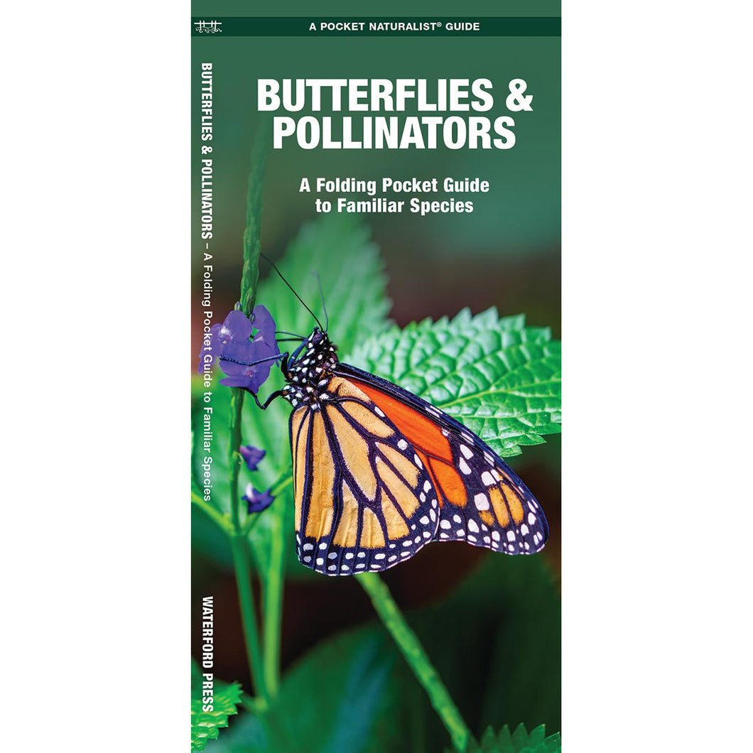 Butterflies & Pollinators: A Folding Pocket Guide to Familiar Species