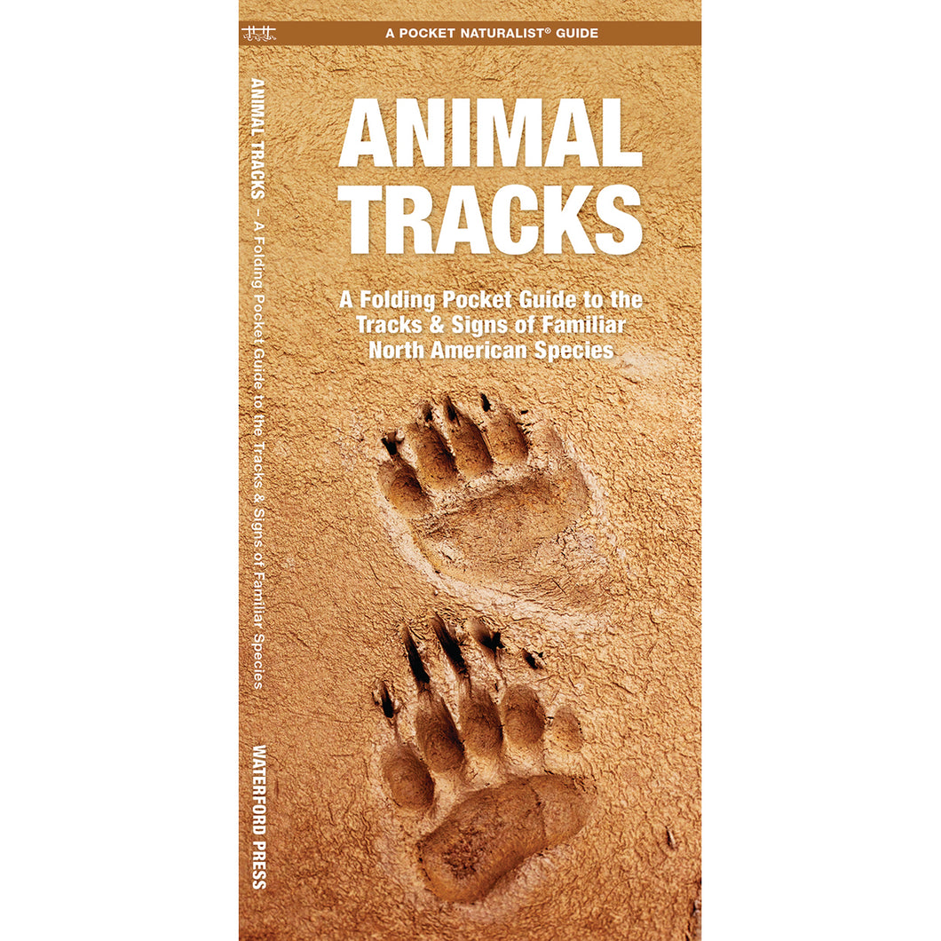 Animal Tracks: A Folding Pocket Guide to the Tracks & Signs of Familiar North American Species