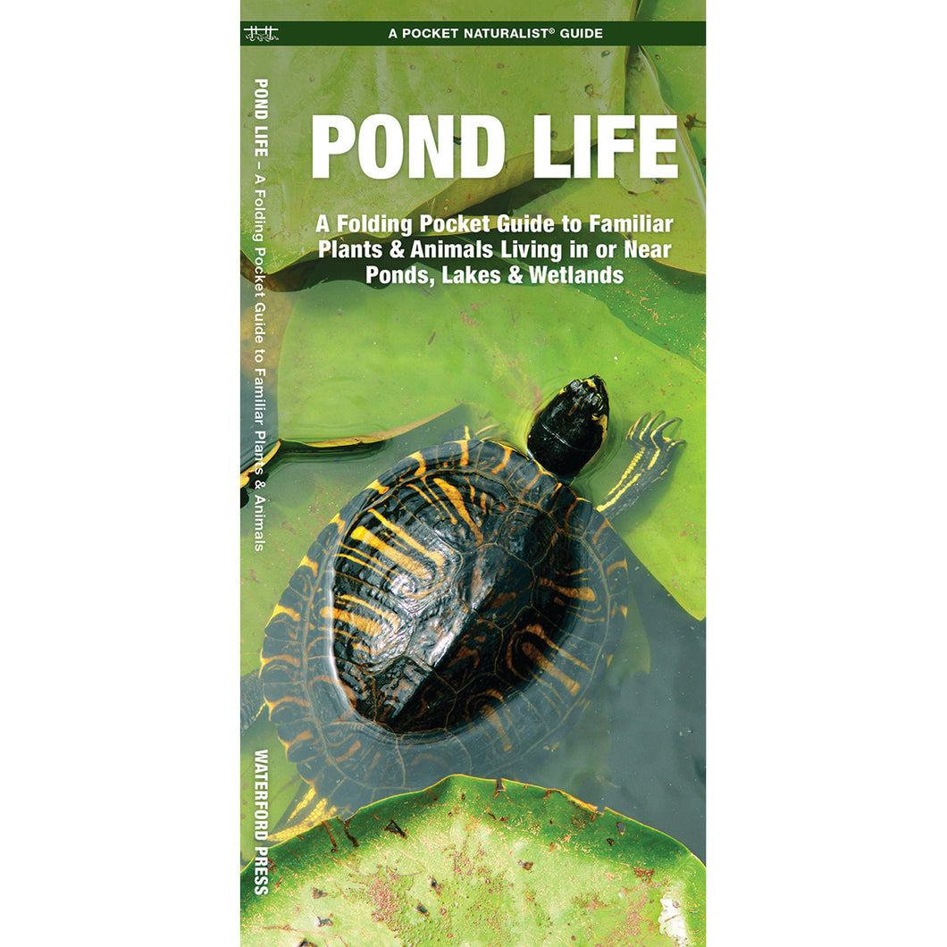 Pond Life: A Folding Pocket Guide to Familiar Plants & Animals Living in or Near Ponds, Lakes & Wetlands