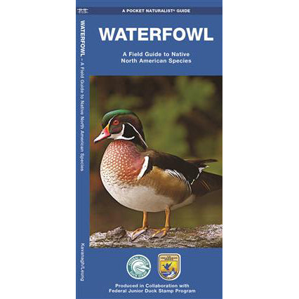 Waterfowl A Field Guide to Native North American Species