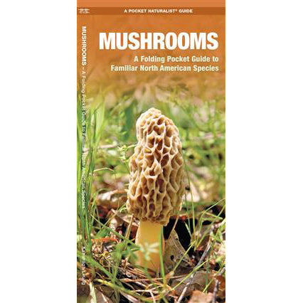 Mushrooms A Folding Pocket Guide to Familiar North American Species