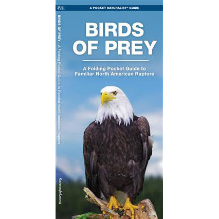 Birds of Prey: A Folding Pocket Guide to Familiar North American Raptors