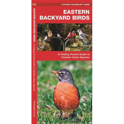 Eastern Backyard Birds: A Folding Pocket Guide to Familiar Urban Species