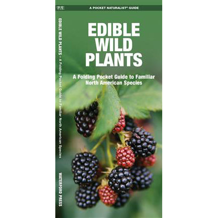 Edible Wild Plants: A Folding Pocket Guide to Familiar North American Species
