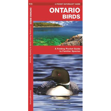 Ontario Birds: A Folding Pocket Guide to Familiar Species