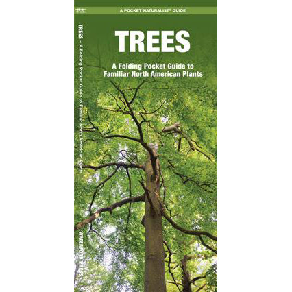 Trees A Folding Pocket Guide to Familiar North American Plants