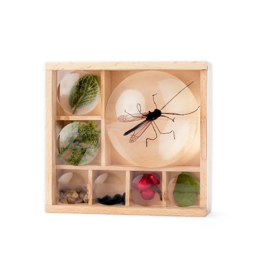 Huckleberry DIY Museum
