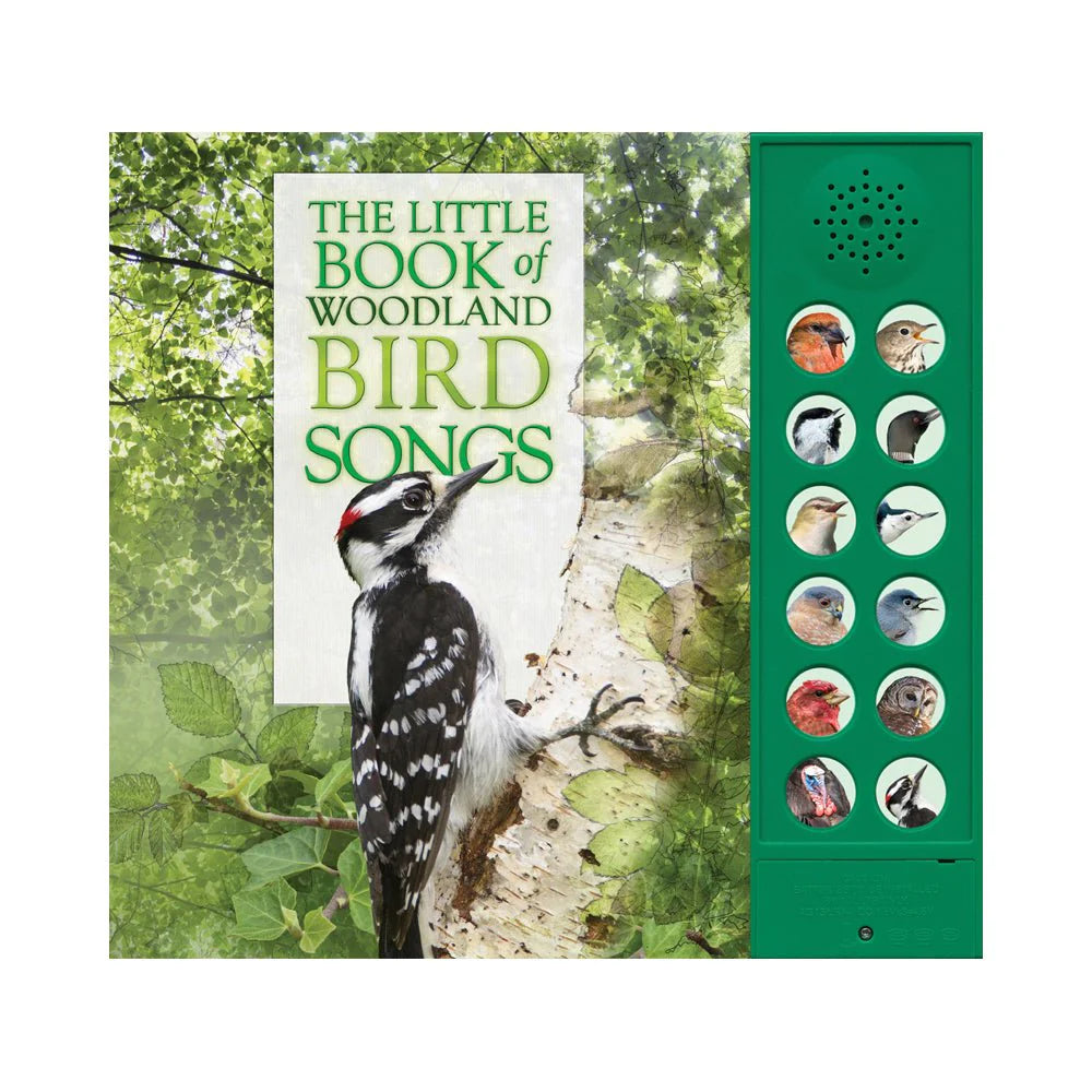 The Little Book of Woodland Bird Songs