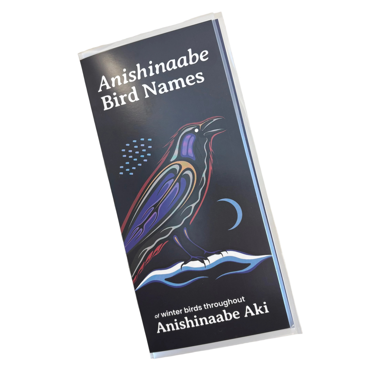 Anishinaabe Bird Names Pamphlet Winter Birds (UV Coated) – The Canadian ...