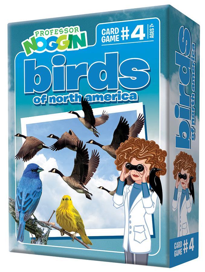 Professor Noggin’s Birds of North America