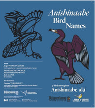 Load image into Gallery viewer, Anishinaabe Bird Names Pamphlet (UV coated)
