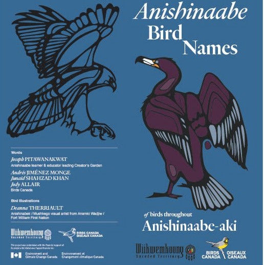 Anishinaabe Bird Names Pamphlet (UV coated) – The Canadian Canoe Museum ...