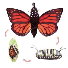 Load image into Gallery viewer, Puppet - Monarch Lifecycle
