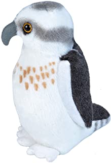 Audubon Birds - Osprey