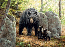 Load image into Gallery viewer, Mama Bear Puzzle
