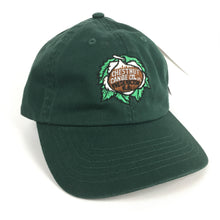 Load image into Gallery viewer, Green Chestnut Canoe Company Ball Cap
