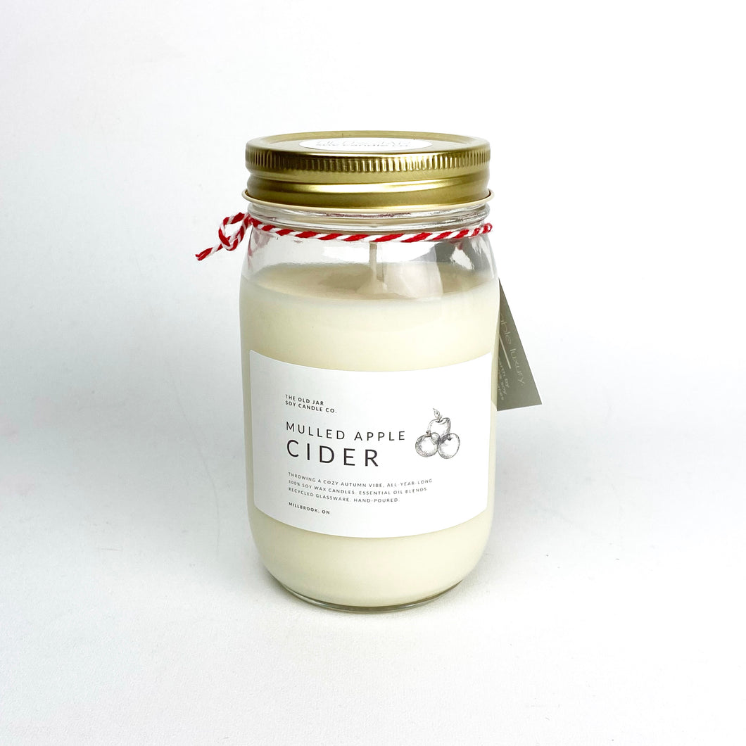 Mulled Apple Cider Sustainable Candle
