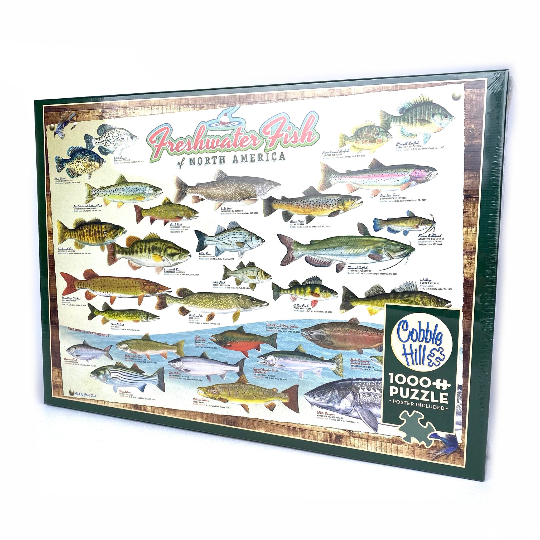 Freshwater Fish of North America Puzzle – The Canadian Canoe Museum's Store
