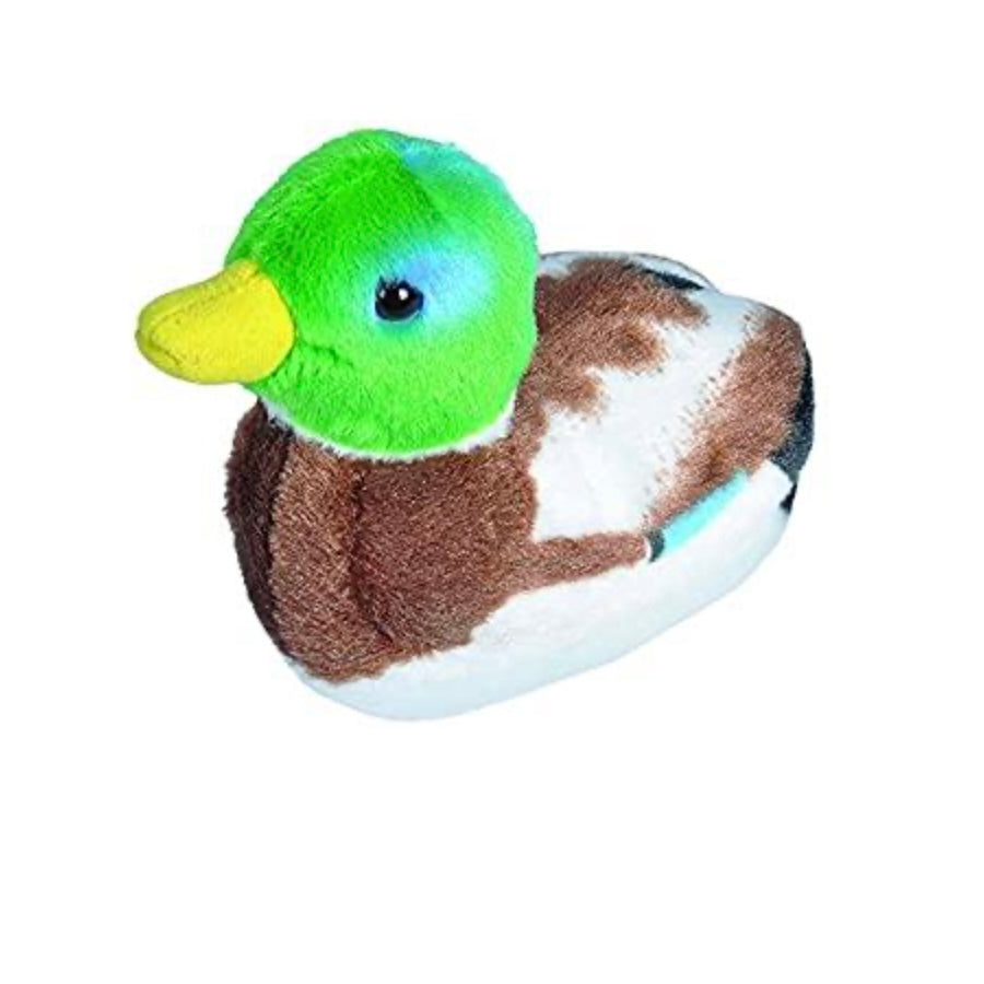 Audubon Birds - Mallard Duck