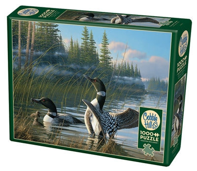 Common Loons Puzzle