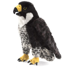 Load image into Gallery viewer, Peregrine Falcon Puppet
