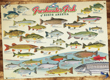 Load image into Gallery viewer, Freshwater Fish of North America Puzzle
