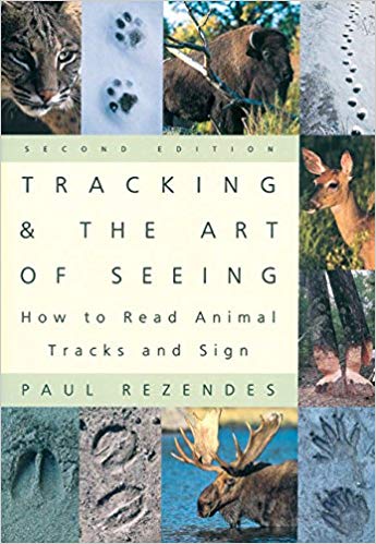 Tracking & The Art of Seeing